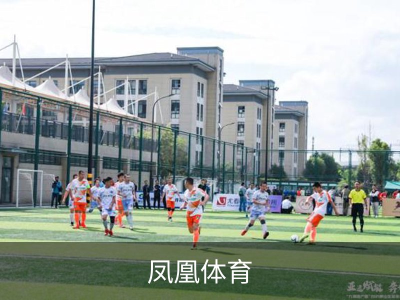 凤凰体育介绍